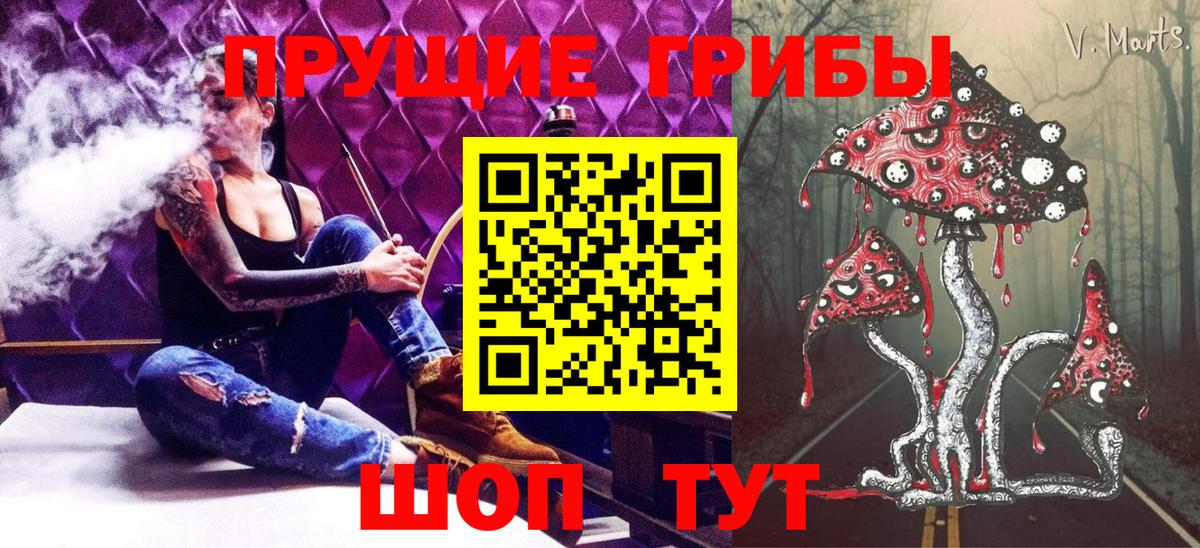 Псилоцибиновые грибы GOLDEN TEACHER  Галлюциногенные грибы Cubensis  Вход с VPN  Ростов Великий 